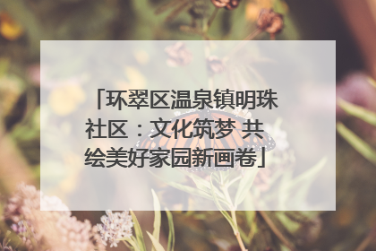 环翠区温泉镇明珠社区：文化筑梦 共绘美好家园新画卷