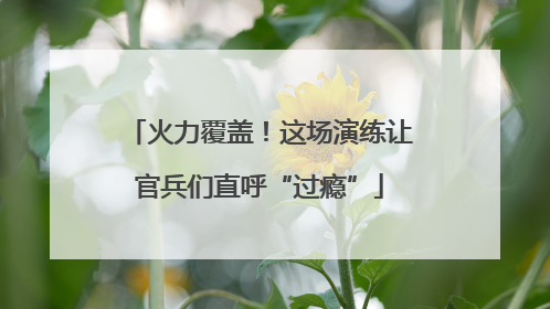 火力覆盖！这场演练让官兵们直呼“过瘾”