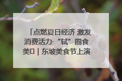 点燃夏日经济 激发消费活力·“轼”圈食美⑪｜东坡美食节上演“文化满汉全席”