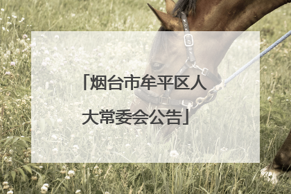 烟台市牟平区人大常委会公告