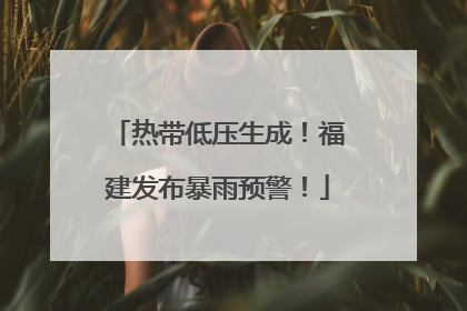 热带低压生成！福建发布暴雨预警！
