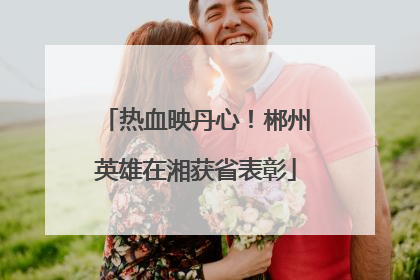热血映丹心！郴州英雄在湘获省表彰