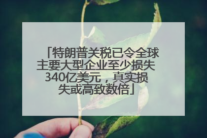特朗普关税已令全球主要大型企业至少损失340亿美元，真实损失或高致数倍
