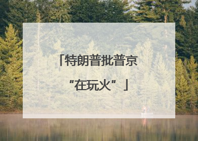 特朗普批普京“在玩火”