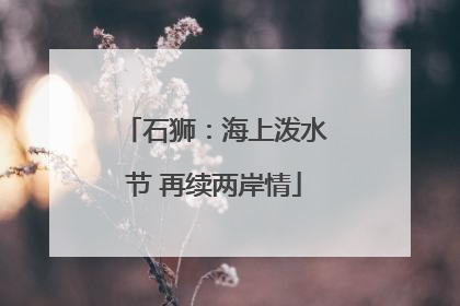 石狮：海上泼水节 再续两岸情