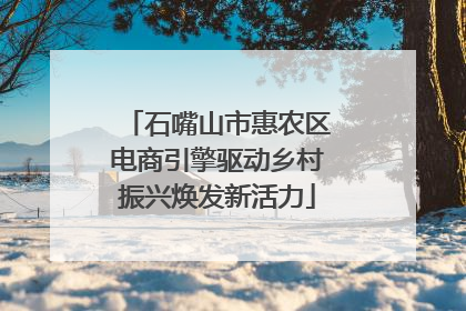 石嘴山市惠农区电商引擎驱动乡村振兴焕发新活力
