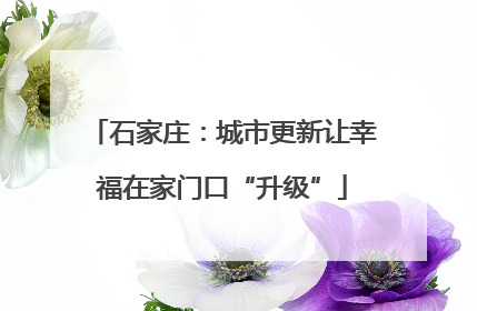石家庄：城市更新让幸福在家门口“升级”