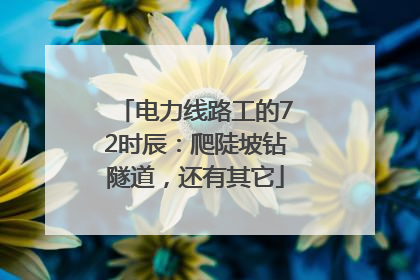 电力线路工的72时辰：爬陡坡钻隧道，还有其它