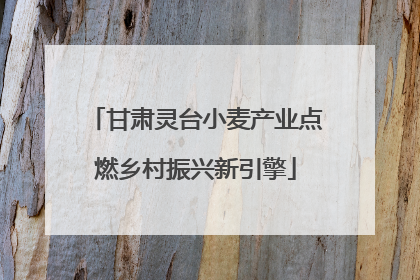 甘肃灵台小麦产业点燃乡村振兴新引擎