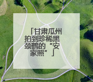 甘肃瓜州拍到珍稀黑颈鹤的“安家照”