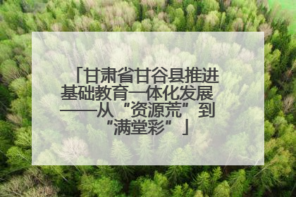 甘肃省甘谷县推进基础教育一体化发展——从“资源荒”到“满堂彩”