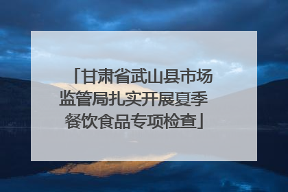甘肃省武山县市场监管局扎实开展夏季餐饮食品专项检查