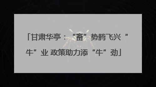 甘肃华亭：“畜”势腾飞兴“牛”业 政策助力添“牛”劲