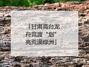 甘肃高台龙舟竞渡“划”亮荒漠绿洲