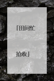 田间忙抢收