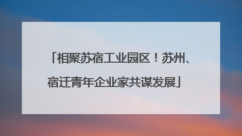 相聚苏宿工业园区！苏州、宿迁青年企业家共谋发展