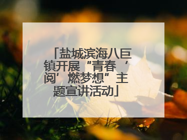 盐城滨海八巨镇开展“青春‘阅’燃梦想”主题宣讲活动