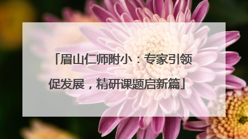 眉山仁师附小：专家引领促发展，精研课题启新篇
