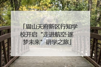 眉山天府新区行知学校开启“走进航空·逐梦未来”研学之旅