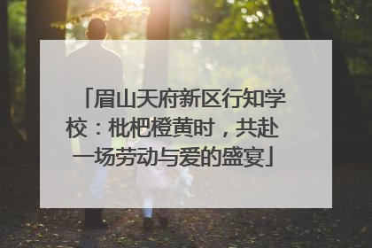 眉山天府新区行知学校：枇杷橙黄时，共赴一场劳动与爱的盛宴
