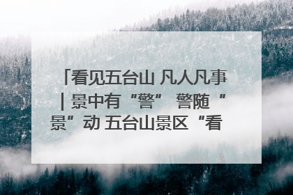 看见五台山 凡人凡事｜景中有“警” 警随“景”动 五台山景区“看得见”的平安守护