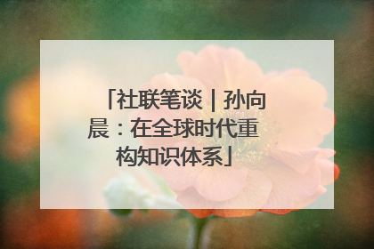 社联笔谈｜孙向晨：在全球时代重构知识体系