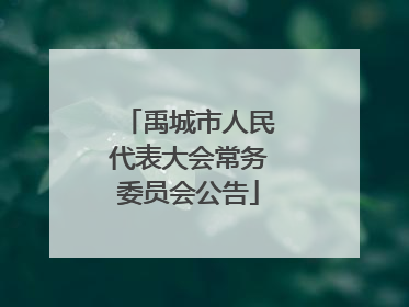 禹城市人民代表大会常务委员会公告