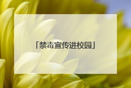 禁毒宣传进校园