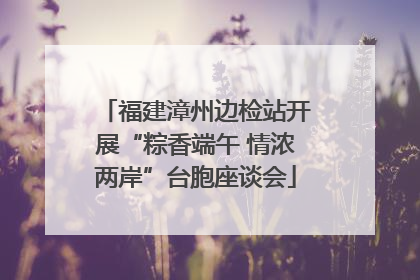 福建漳州边检站开展“粽香端午 情浓两岸”台胞座谈会