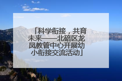 科学衔接，共育未来——北碚区龙凤教管中心开展幼小衔接交流活动