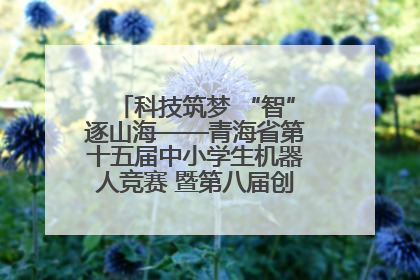 科技筑梦 “智”逐山海——青海省第十五届中小学生机器人竞赛 暨第八届创新设计大赛见闻