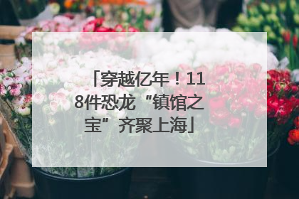 穿越亿年！118件恐龙“镇馆之宝”齐聚上海