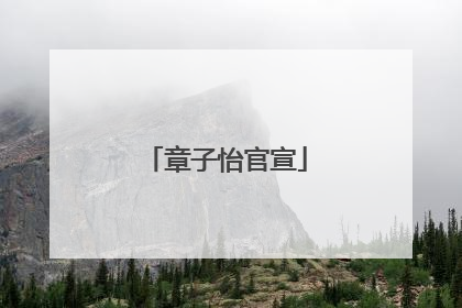 章子怡官宣