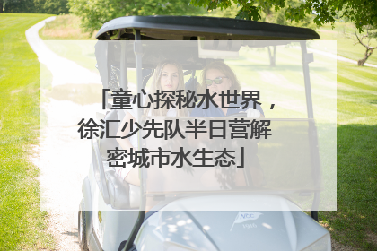 童心探秘水世界，徐汇少先队半日营解密城市水生态