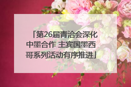 第26届青洽会深化中墨合作 主宾国墨西哥系列活动有序推进