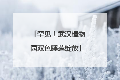 罕见！武汉植物园双色睡莲绽放