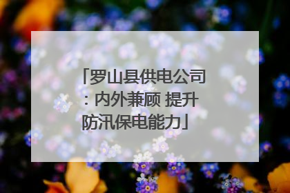 罗山县供电公司：内外兼顾 提升防汛保电能力