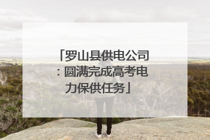 罗山县供电公司：圆满完成高考电力保供任务