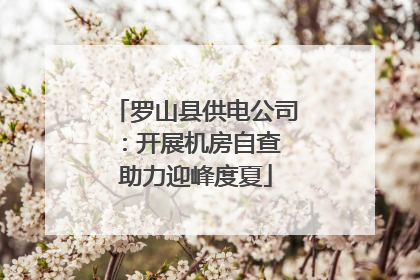 罗山县供电公司：开展机房自查 助力迎峰度夏
