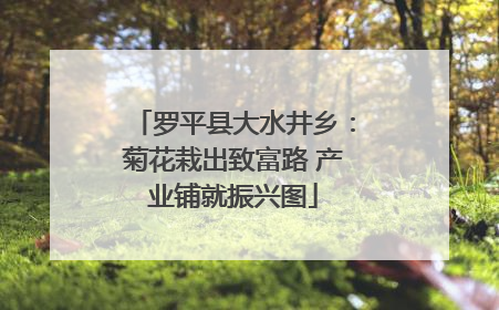 罗平县大水井乡：菊花栽出致富路 产业铺就振兴图