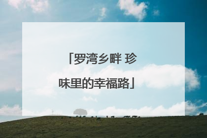 罗湾乡畔 珍味里的幸福路