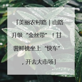 美丽农村路｜山路升级“金丝带”！甘薯鲜桃坐上“快车”，开去大市场