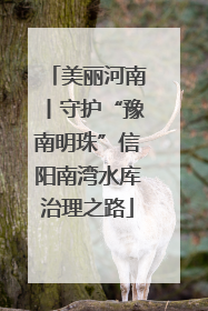美丽河南丨守护“豫南明珠”信阳南湾水库治理之路