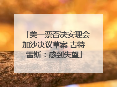 美一票否决安理会加沙决议草案 古特雷斯：感到失望