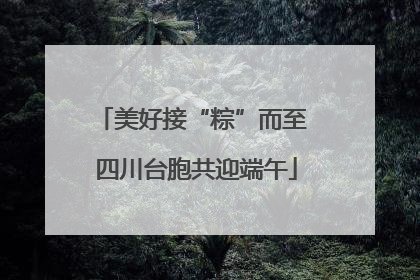 美好接“粽”而至 四川台胞共迎端午