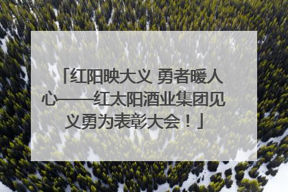 红阳映大义 勇者暖人心——红太阳酒业集团见义勇为表彰大会！