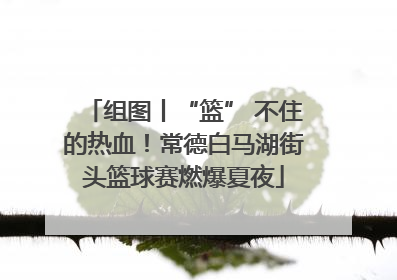 组图丨“篮” 不住的热血！常德白马湖街头篮球赛燃爆夏夜