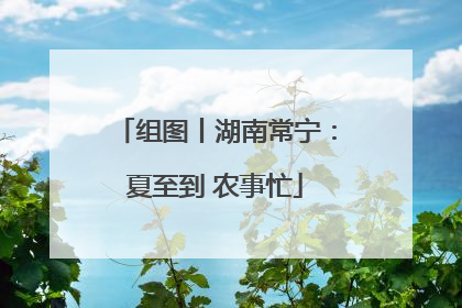 组图丨湖南常宁：夏至到 农事忙