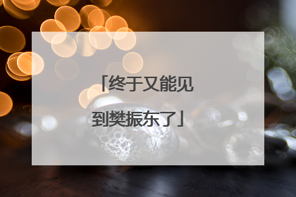 终于又能见到樊振东了