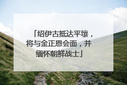 绍伊古抵达平壤，将与金正恩会面，并缅怀朝鲜战士